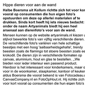 Interview Friesch Dagblad ArtyAnimals